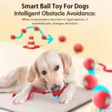 New Dog Interactive Ball