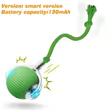 New Dog Interactive Ball