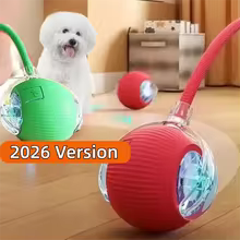 New Dog Interactive Ball