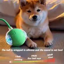 New Dog Interactive Ball